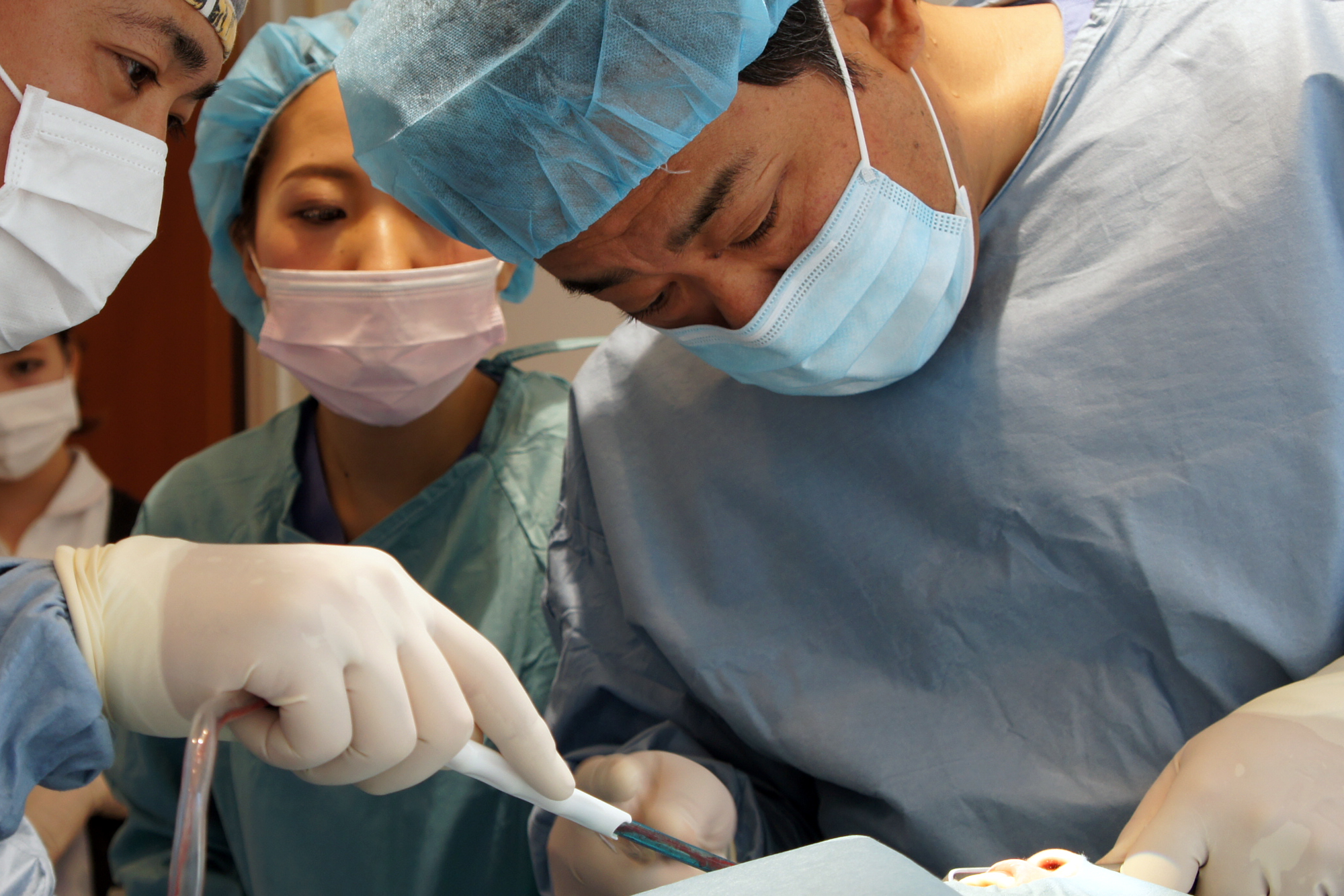 AII（Advanced Implant Institute of Japan）｜歯科スタディー